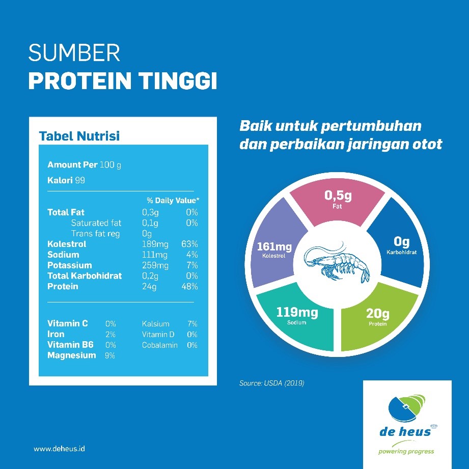 infografis protein udang