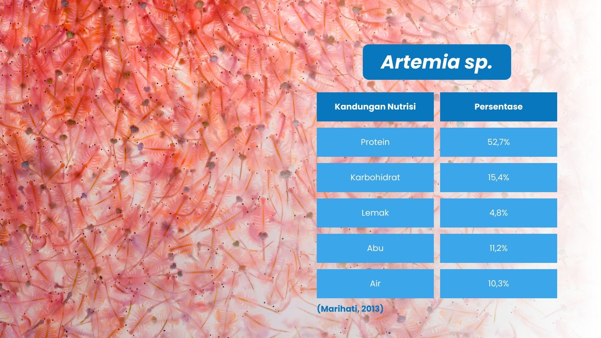 Artemia Sp dengan nilai nutrisinya sebagai pakan alami alternatif dalam berbudidaya udang