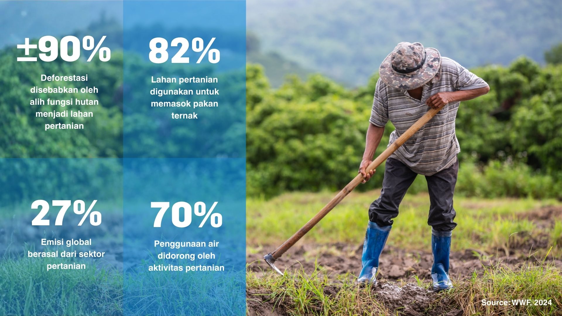 Pertanian dan dampaknya menurut data WWF tahun 2024