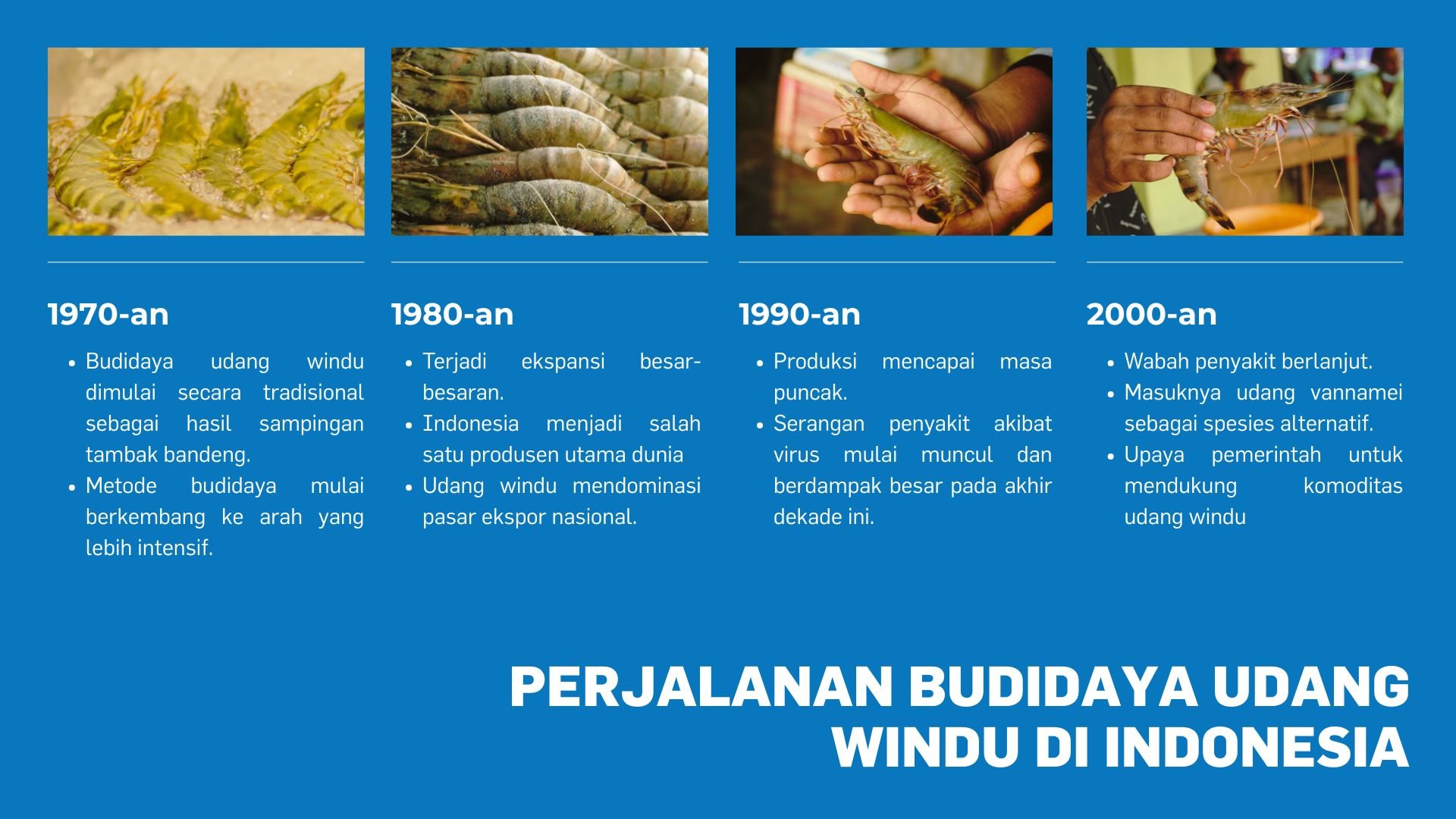 Perjalanan udang windu di Indonesia setiap dekade 