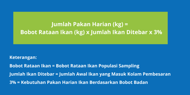 Rumus Pemberian Pakan Harian Budidaya Ikan