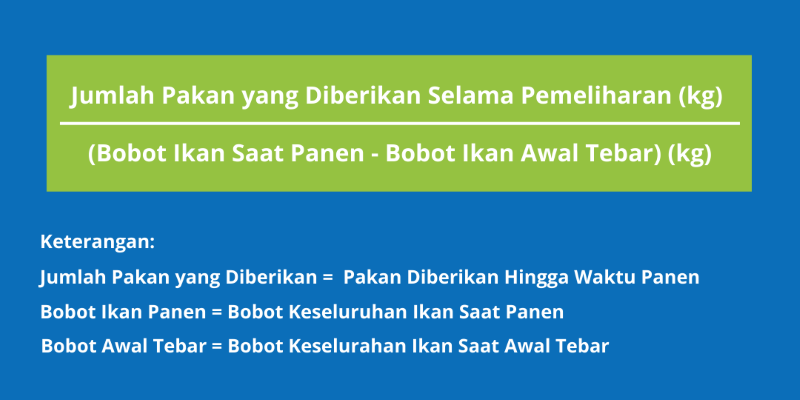 Rumus Penentuan FCR Setelah Panen Budidaya Ikan