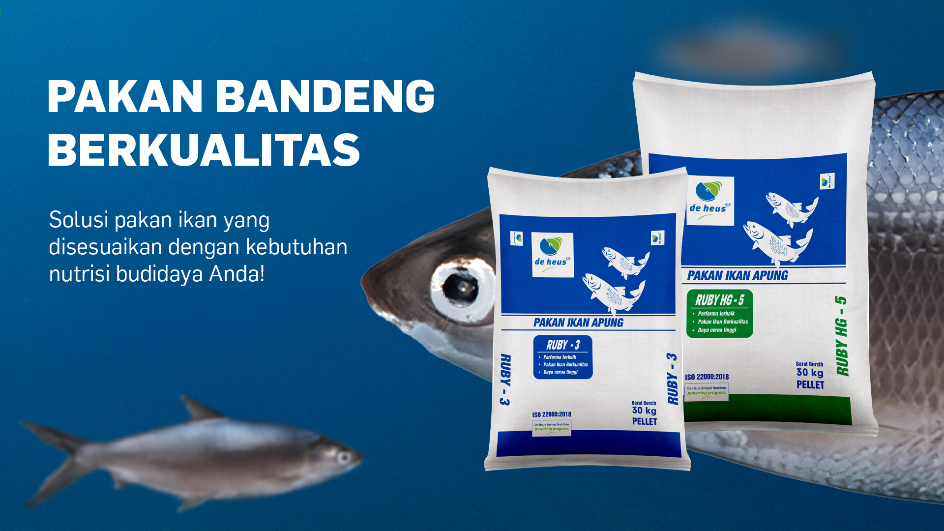 Makanan ikan atau pakan ikan bandeng unggulan dari De Heus Indonesia