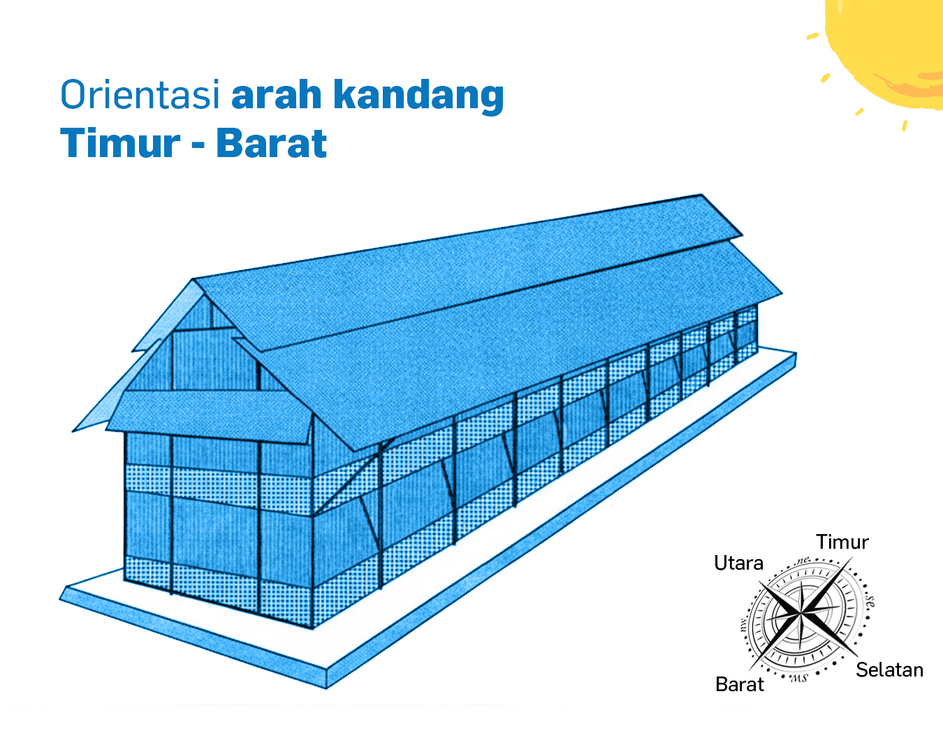 Orientasi arah kandang timur ke barat yang ideal untuk lingkungan dalam kandang