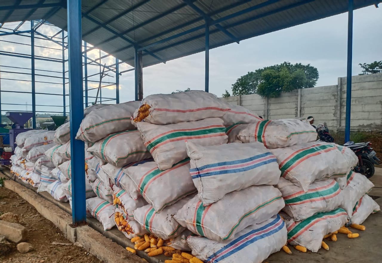 Penggunaan bahan baku jagung dalam rantai produksi pakan de heus indonesia