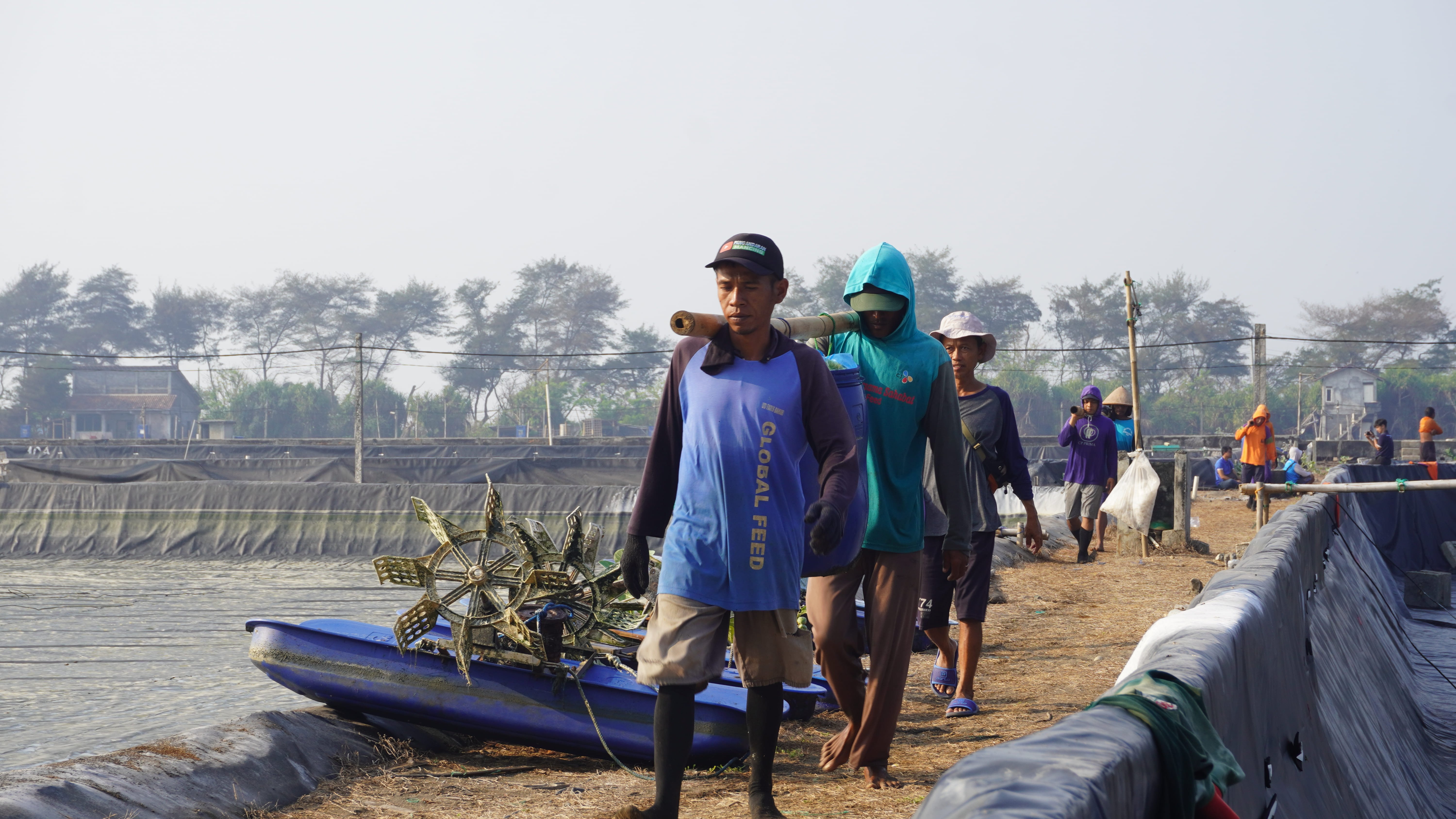 Petani dan pengusaha udang dapat terdampak secara ekonomi akibat WSSV